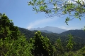 DSC06821