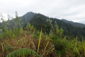 DSC06864