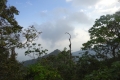 DSC06878