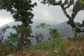 DSC06880