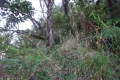 DSC06906