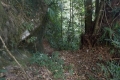 DSCN1024
