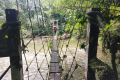 Api Pinnacles - Crossing a bridge on the way to Camp 5 (Dan Quinn, July 2024)