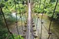 Api Pinnacles - Crossing a bridge on the way to Camp 5 (Dan Quinn, July 2024)