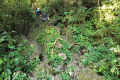 Api Pinnacles - On the Pinnacles trek (Dan Quinn, July 2024)
