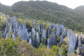 Api Pinnacles - seen from the viewpoint (Dan Quinn, July 2024)