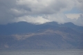 DSC07981
