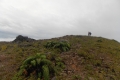 DSCN0348