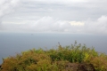 DSCN0384