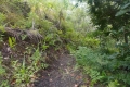 DSCN0408