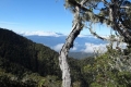 bandahara-2