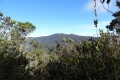 bandahara-4