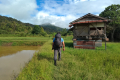 Batu Lawi - Near the trailhead in Pa Ukat (Dan Quinn, July 2024)