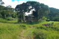 Batu Lawi - The last farm near Pa Ukat (Dan Quinn, July 2024)