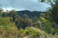 Batu Lawi - A view to Batu Buli (Dan Quinn, July 2024)