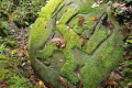 Batu Lawi - A stone carving to designate the edge of Bario territory (Dan Quinn, July 2024)