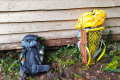 Batu Lawi - Ordinary bag and Penan porter bag (Dan Quinn, July 2024)
