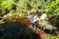 Batu Lawi - River crossing near the old logging road (Dan Quinn, July 2024)