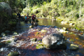 Batu Lawi - River crossing near the old logging road (Dan Quinn, July 2024)