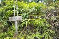 Batu Lawi -Old sign for Gn Murud (Dan Quinn, July 2024)
