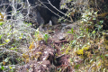 Batu Lawi - Cave near the saddle (Dan Quinn, July 2024)