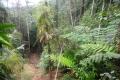DSC02804