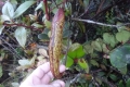 DSC02849