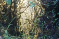 DSC02867