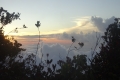 DSC02905