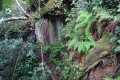 DSC02915