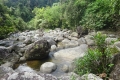 DSC02950