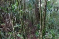 DSC05946