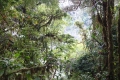 DSC05953