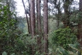 DSC05995