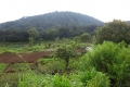 DSC06075