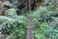 DSC06144