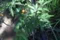 bawakaraeng-015