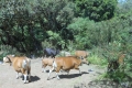 bawakaraeng-017