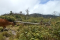 bawakaraeng-023