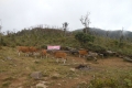 bawakaraeng-027