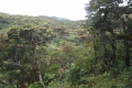 bawakaraeng 049