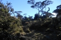 bawakaraeng 076