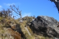 bawakaraeng 080