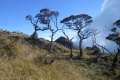 bawakaraeng 081