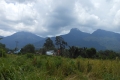 pontianak-gn-bawang-043