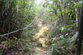DSC07095