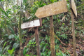 Benum - Trail junction for descent (Dan Quinn, July 2024)