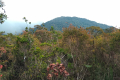 Benum - View from Helipad to the summit (Dan Quinn, July 2024)