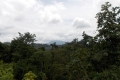 DSCN4905