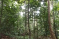 DSCN4917